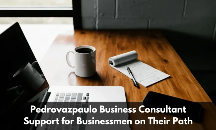 Pedrovazpaulo Business Consultant